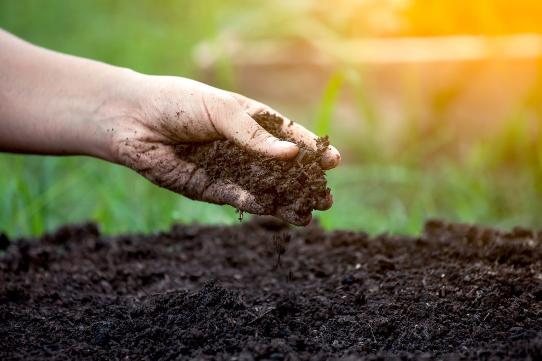 Biobasierte Biologisch Abbaubare Kunststoffe Landwirtschaft