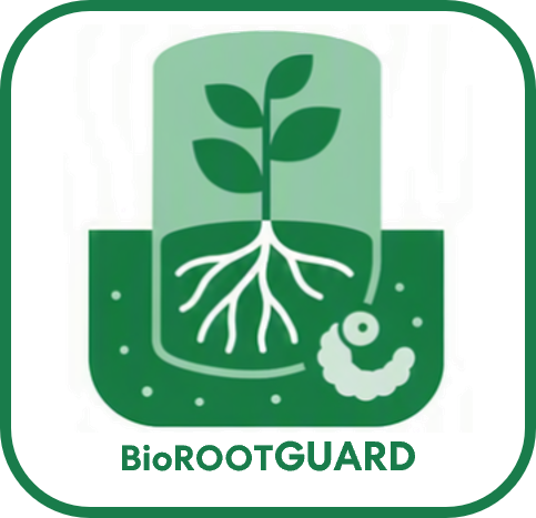 El proyecto de investigación BioROOTGUARD está desarrollando un innovador sistema de protección radicular fabricado con plástico biodegradable para proteger los árboles jóvenes y las plántulas recién plantados frente a los daños causados por las larvas del escarabajo de mayo y del escarabajo japonés.