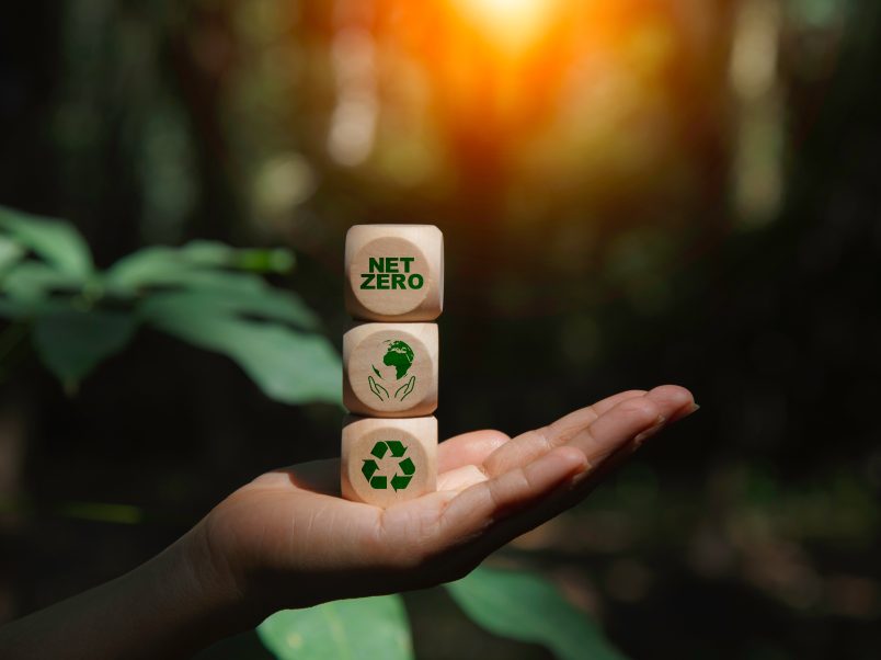 Mit dem Portfolio von biobasierten, biologisch abbaubaren und recycelten Rohstoffen trägt FKuR aktiv zur Förderung der Kreislaufwirtschaft bei und unterstützt die Transformation hin zu erneuerbarem Kohlenstoff.