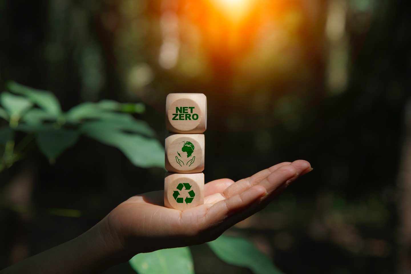 Mit dem Portfolio von biobasierten, biologisch abbaubaren und recycelten Rohstoffen trägt FKuR aktiv zur Förderung der Kreislaufwirtschaft bei und unterstützt die Transformation hin zu erneuerbarem Kohlenstoff.