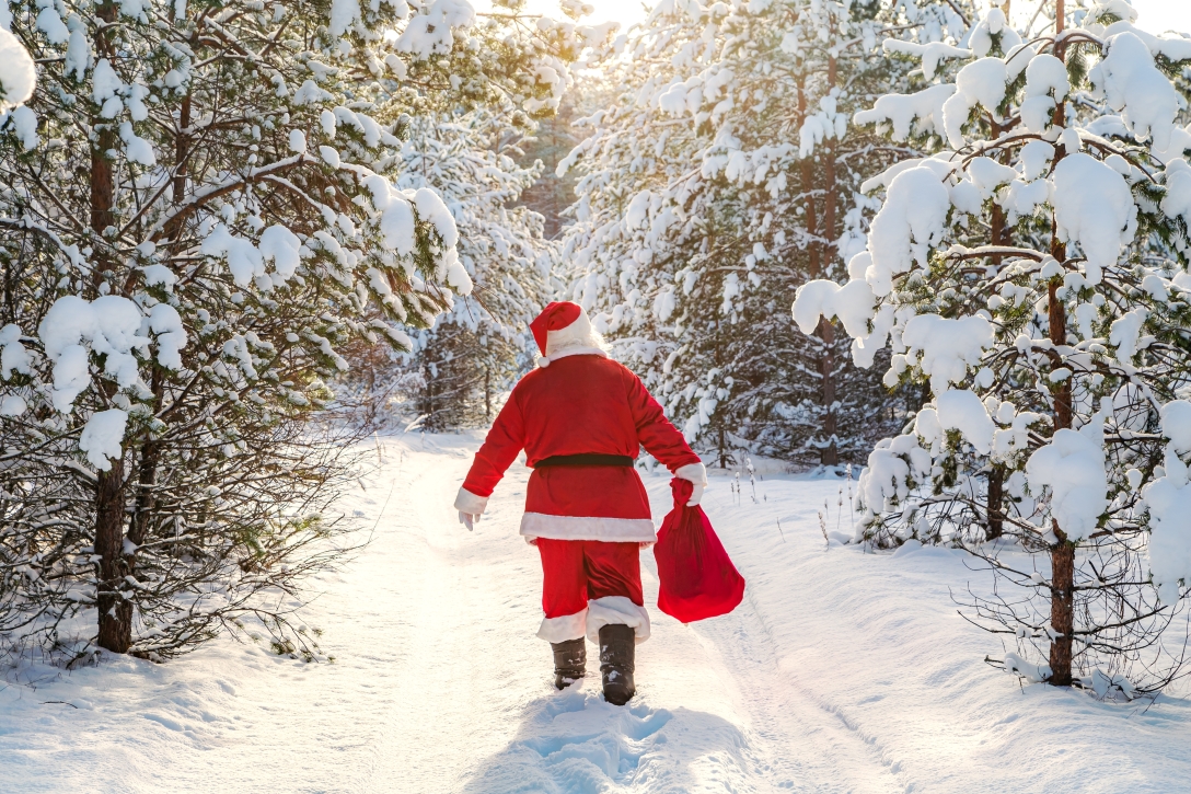 Seasonal header image on the FKuR homepage focusing on sustainable bioplastics and high-quality recyclates for a circular economy.