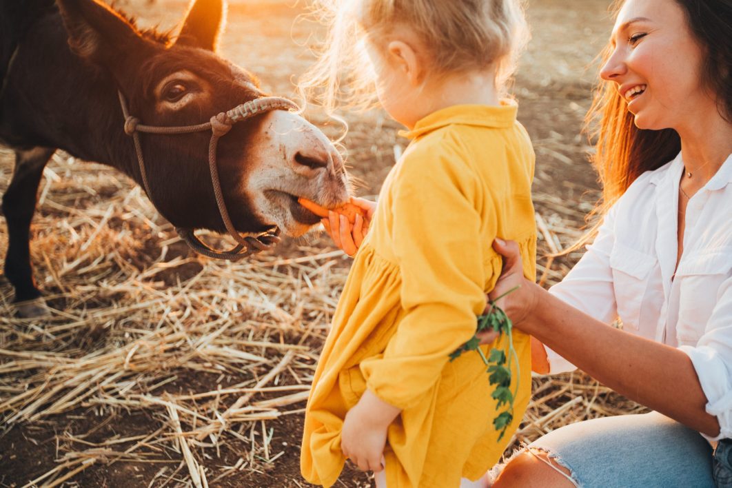 The kindergarten follows an animal-based pedagogy. The children experience natural cycles through the rhythm of the seasons, from growing food to eating it.