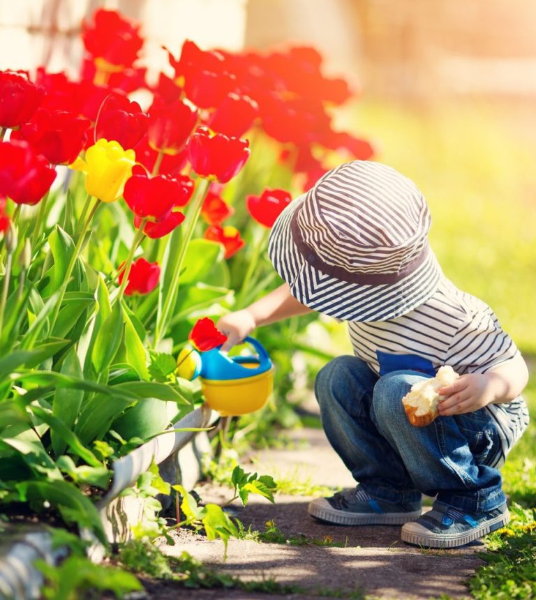 Manufacturer of biodegradable + bio-based plastics