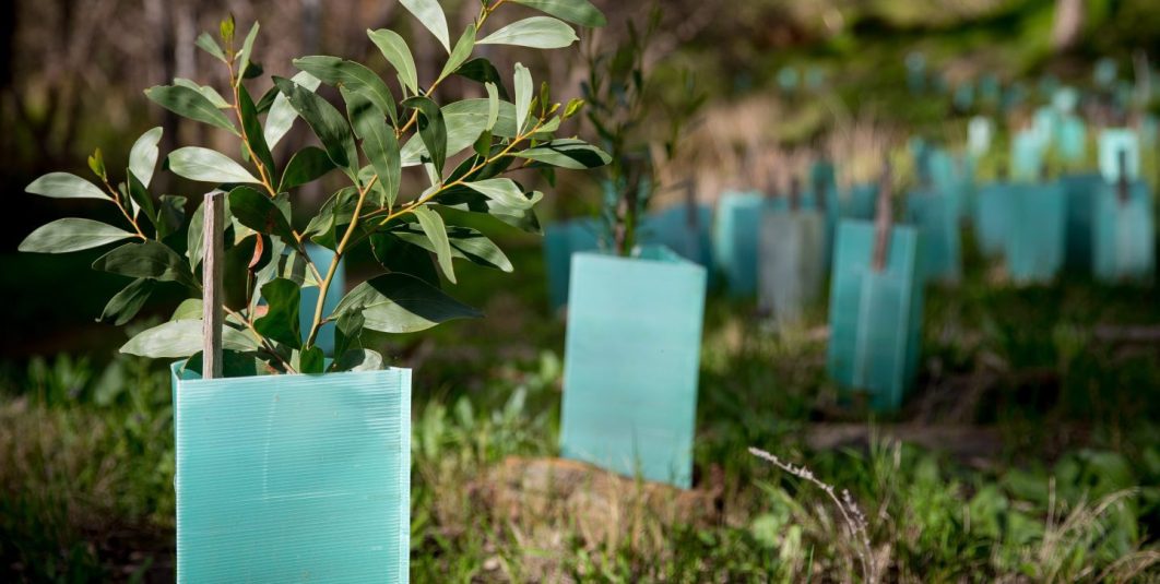 Certified soil degradable bioplastic - FKuR (EN)