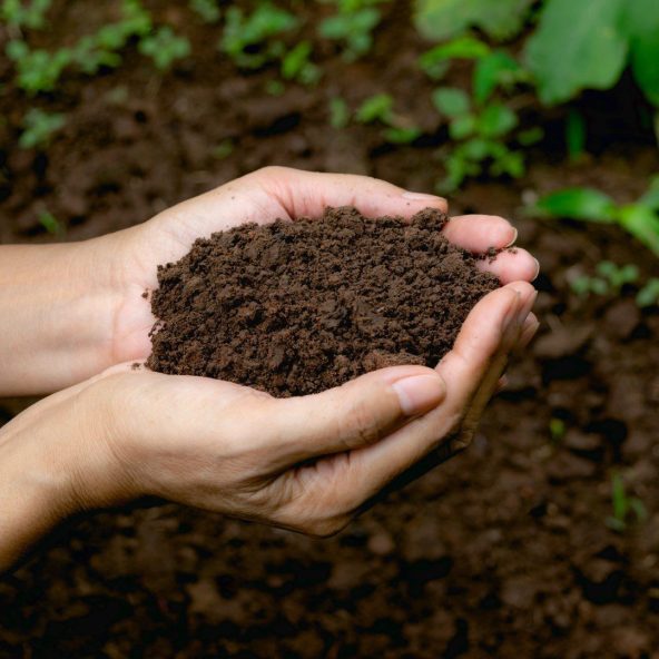 biokunststoff spezielle eigenschaften bioabbaubar kompostierbar