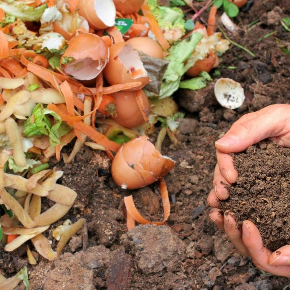 biokunststoffe abbaubar kompostierbar gartenkompostierbar