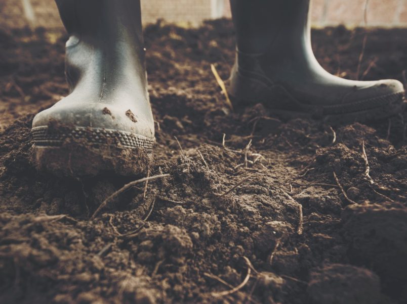biologisch-abbaubar-kompostierbar-biodegradable-soil