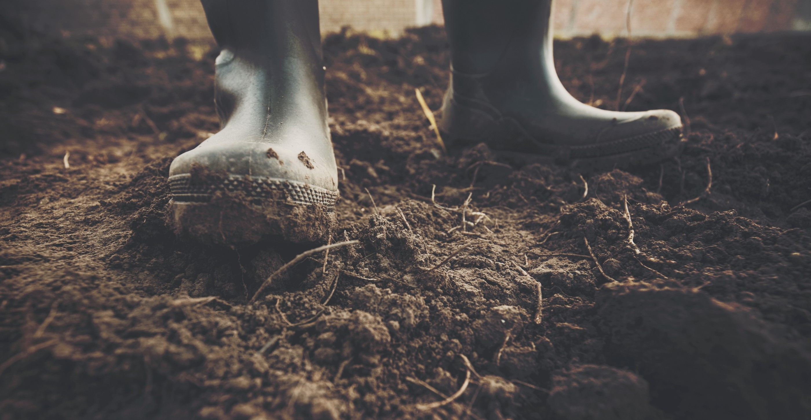 biologisch-abbaubar-kompostierbar-biodegradable-soil