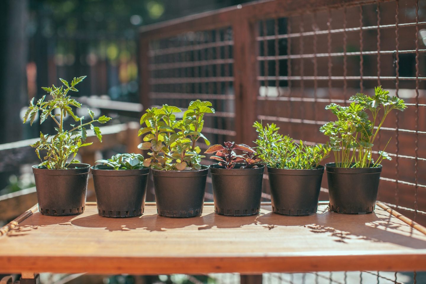 fibrolon s 7530 scaled